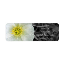 White Poppy with Rain Droplets, Black and White Ba Return Address Label