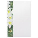White potentilla flower stationery