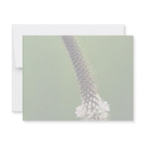 White Prairie Clover invitations
