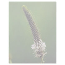 White Prairie Clover Letterhead Template