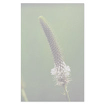 White Prairie Clover stationery