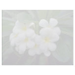 white Prestine cluster of temple flowers flowers Custom Letterhead