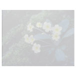 white Primrose flowers Customized Letterhead