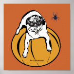 White pug masked on pumpkin with spider Party post Posters