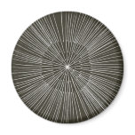 White Pulsating Strokes on Black magnets