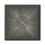 White Pulsating Strokes on Black magnets