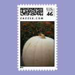 White Pumpkin Thankgsgiving Postage postage