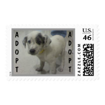 White Pup Postage postage