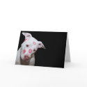 White Puppy Dog Love, Sealed with Lipstick Kisses cards by KahunaLuna White Puppy Dog Love, Sealed with Lipstick Kisses cards