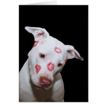 White Puppy Dog Love, Sealed with Lipstick Kisses cards