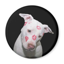 White Puppy Dog Love, Sealed with Lipstick Kisses Refrigerator Magnet