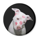 White Puppy Dog Love, Sealed with Lipstick Kisses magnets by KahunaLuna White Puppy Dog Love, Sealed with Lipstick Kisses magnets