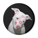 White Puppy Dog Love, Sealed with Lipstick Kisses magnets