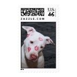White Puppy Dog Love, Sealed with Lipstick Kisses Postage