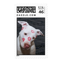White Puppy Dog Love, Sealed with Lipstick Kisses Postage