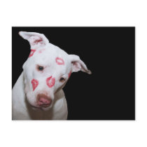 White Puppy Dog Love, Sealed with Lipstick Kisses postcards by KahunaLuna White Puppy Dog Love, Sealed with Lipstick Kisses postcards