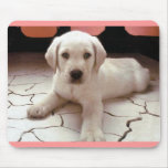 White Puppy Dog Mousepad