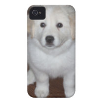 white puppy iphone cover casemate cases