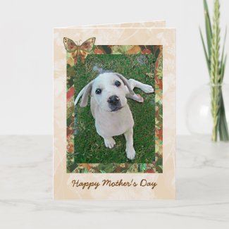 White Puppy Mothers Day Card | Photo Template