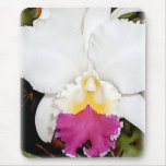 White & Purple Cattleya Orchid Mouse Pads