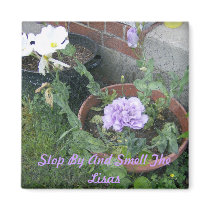 White & Purple Lisa Flower magnets by allthingsnatural White & Purple Lisa Flower magnets