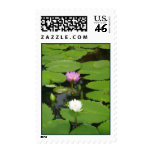 White&Purple Water Lilly Postage
