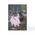 White Rabbit, by Darlene P. Coltrain cards