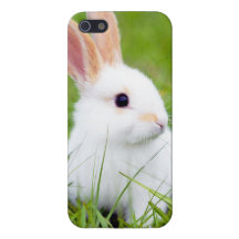 White Rabbit Case For iPhone 5