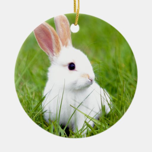 white rabbit christmas tree ornament zazzle white rabbit christmas tree ornament zazzle