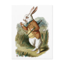 White Rabbit from Alice in Wonderland Postcard