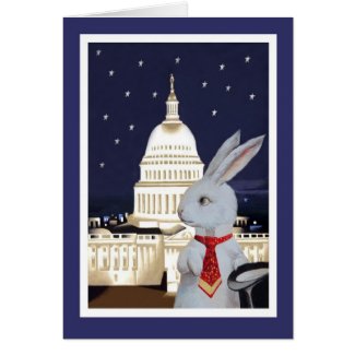White Rabbit in Washington, DC Cards