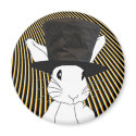 White Rabbit magnets