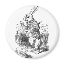 White Rabbit magnets