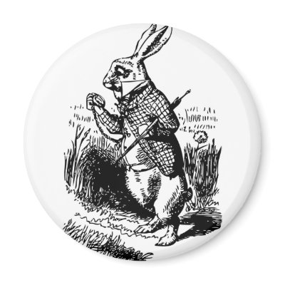 White Rabbit Magnets by exifyde