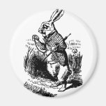 White Rabbit Magnets