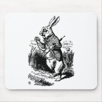 White Rabbit