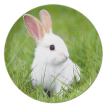 White Rabbit Party Plates