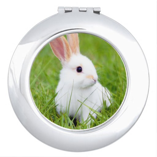 Cute Bunny Compact Mirrors Cute Bunny Makeup Mirror Designs