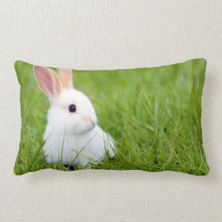 white rabbit pillow