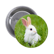White Rabbit Pinback Button