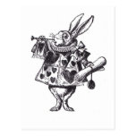 White Rabbit Post Cards