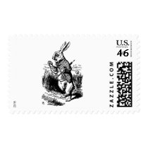 White Rabbit