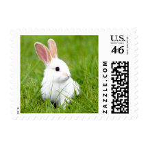 White Rabbit Postage