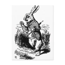 White Rabbit