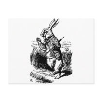 White Rabbit