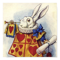 WHITE RABBIT posters