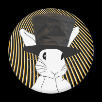 White Rabbit magnets