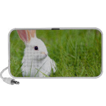 White Rabbit Speakers