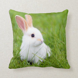 white rabbit pillow