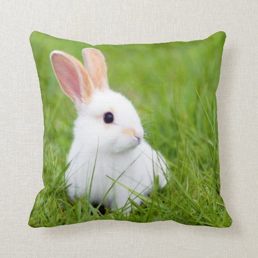 White Rabbit Throw Pillows Zazzle